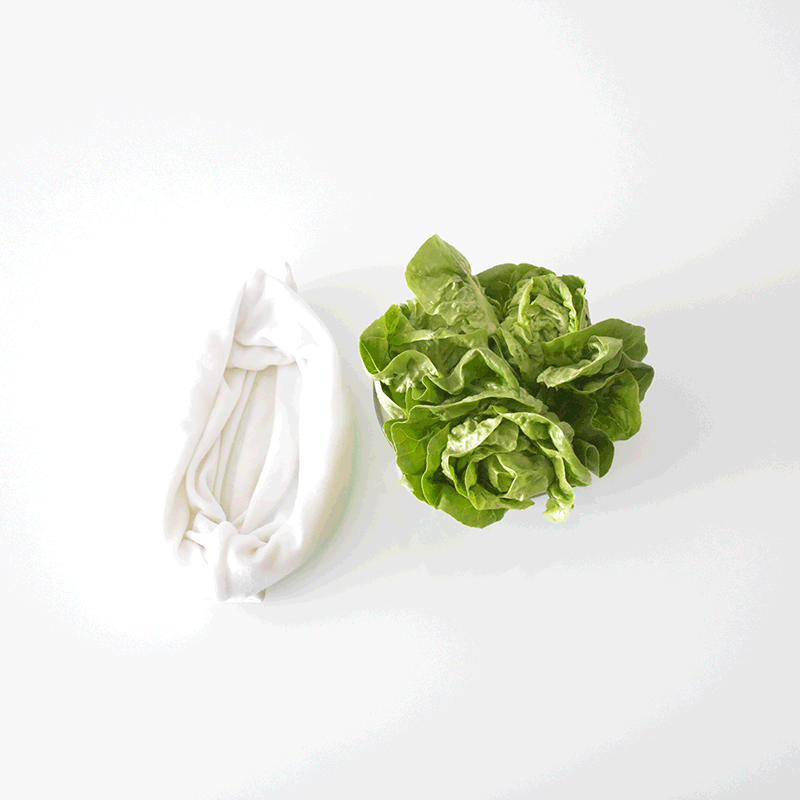 Hierbag: Funda húmeda para vegetales frescos