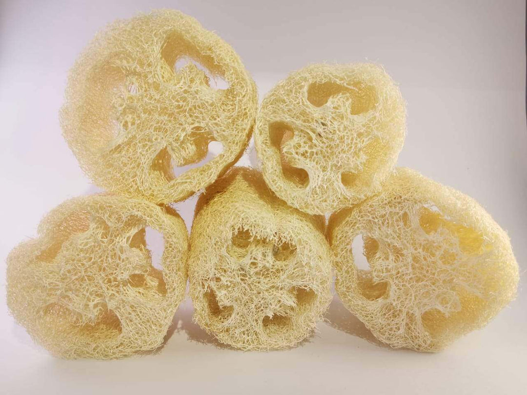 estropajo natural pedazo luffa