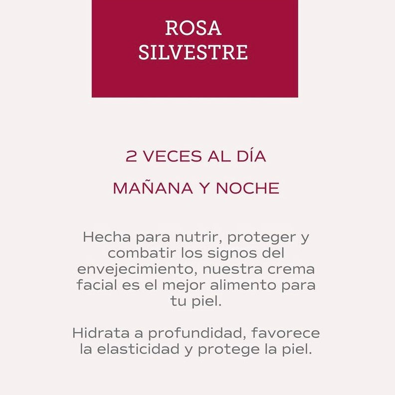 Crema facial Hidratante de Rosas Pachha