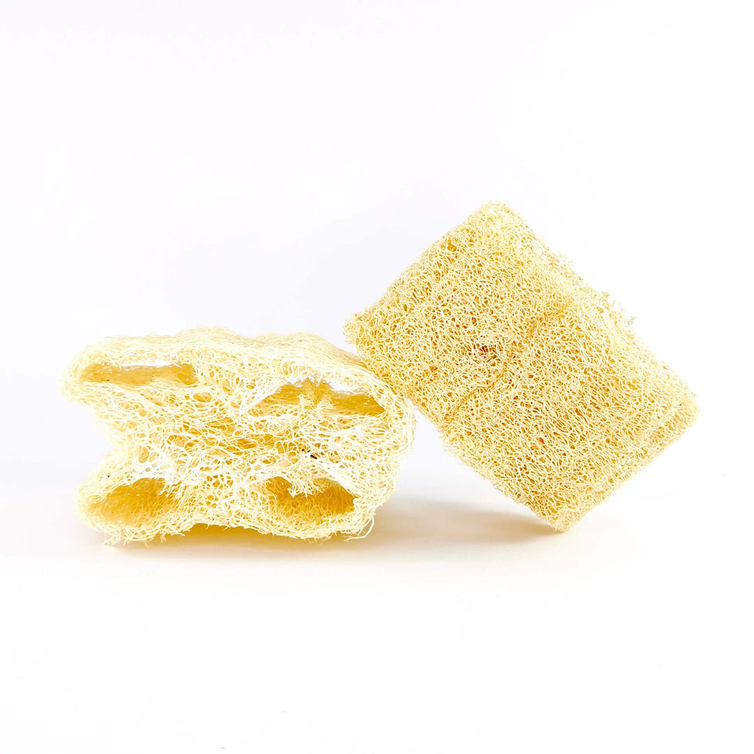 estropajo luffa natural