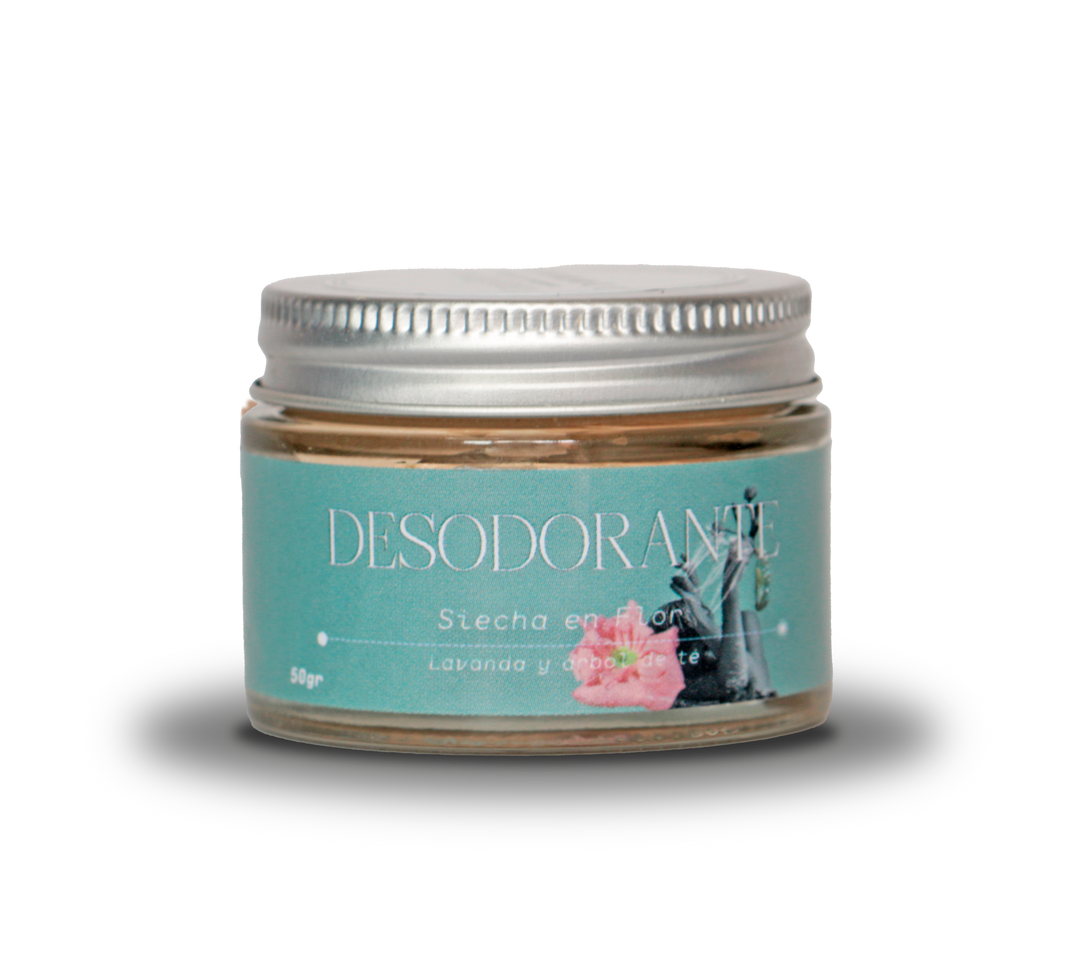 Desodorante natural Lavanda, Coco y árbol de Té Verde Ritual