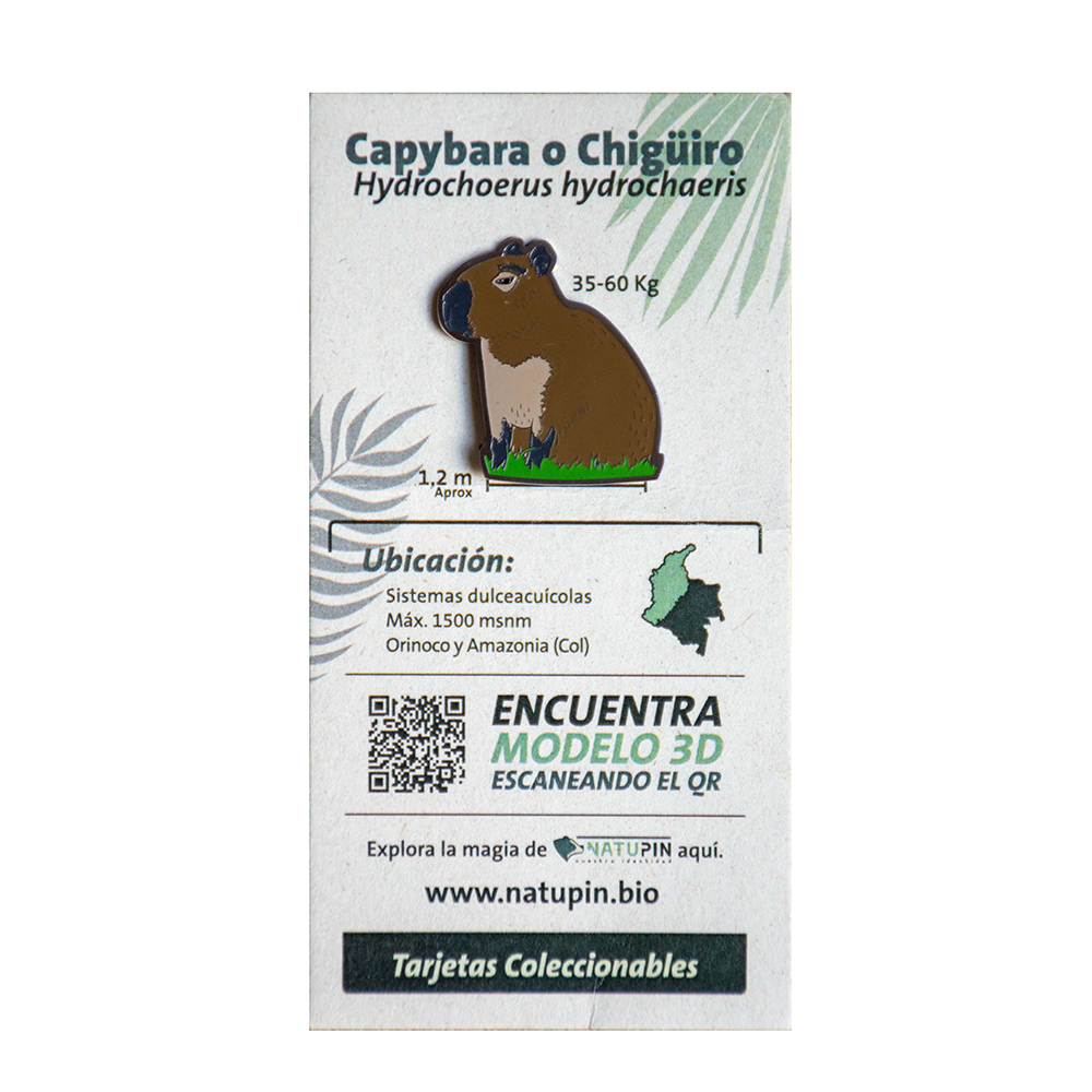 Pin chiguidor o capibara