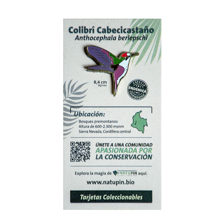 Pin colibrí natupin