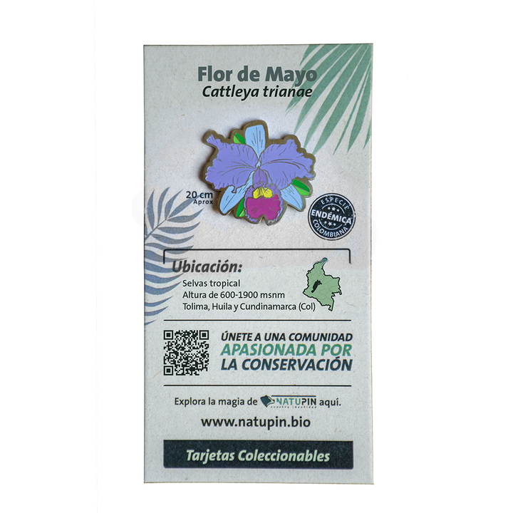 Pines Biodiversidad Colombiana