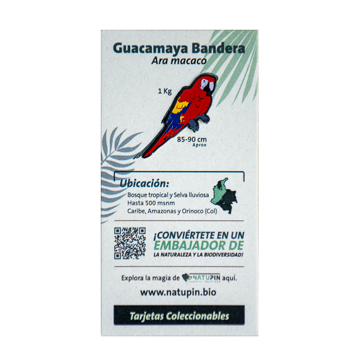 Pines Biodiversidad Colombiana