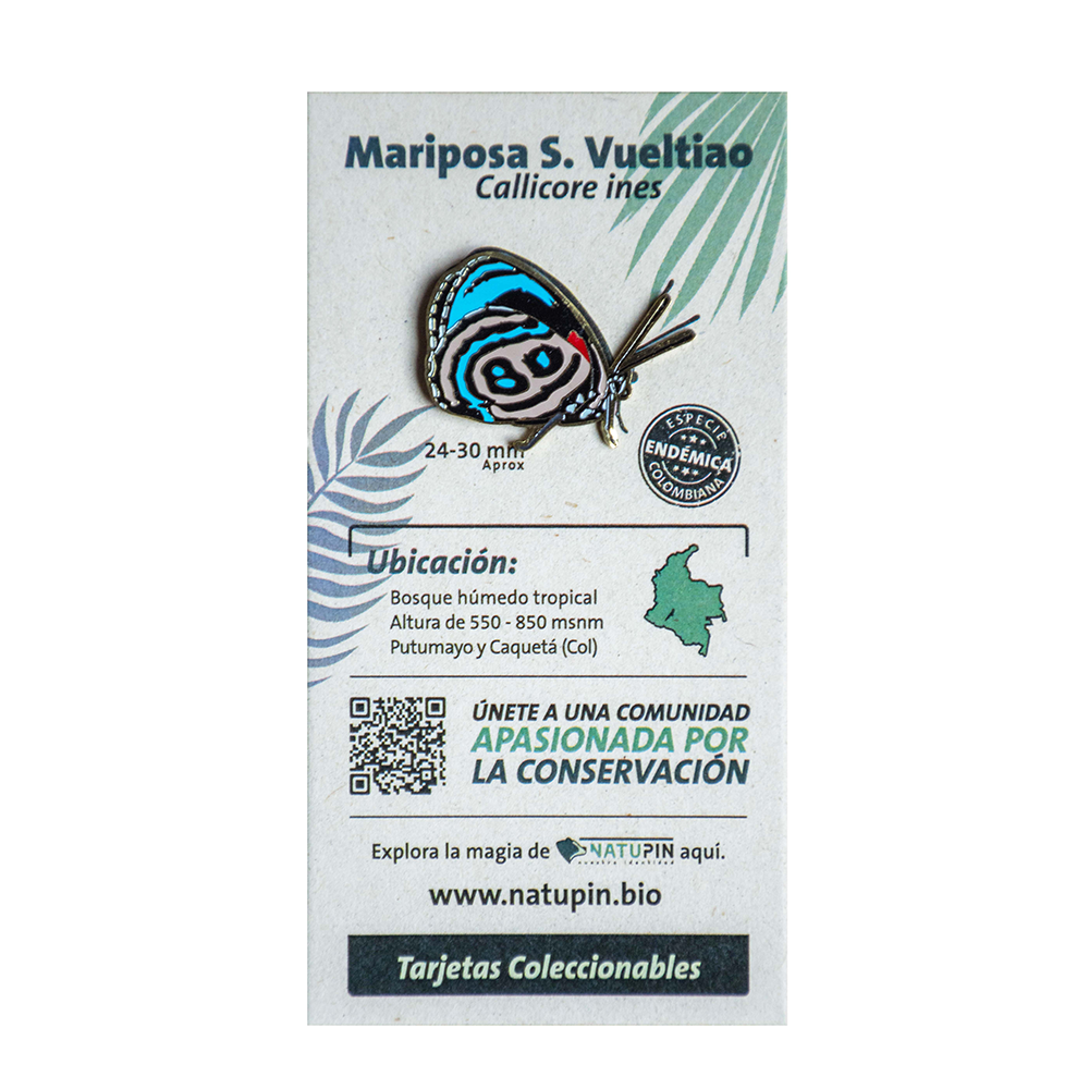 Pines Biodiversidad Colombiana