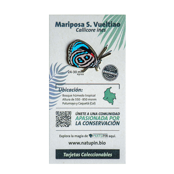 Pines Biodiversidad Colombiana