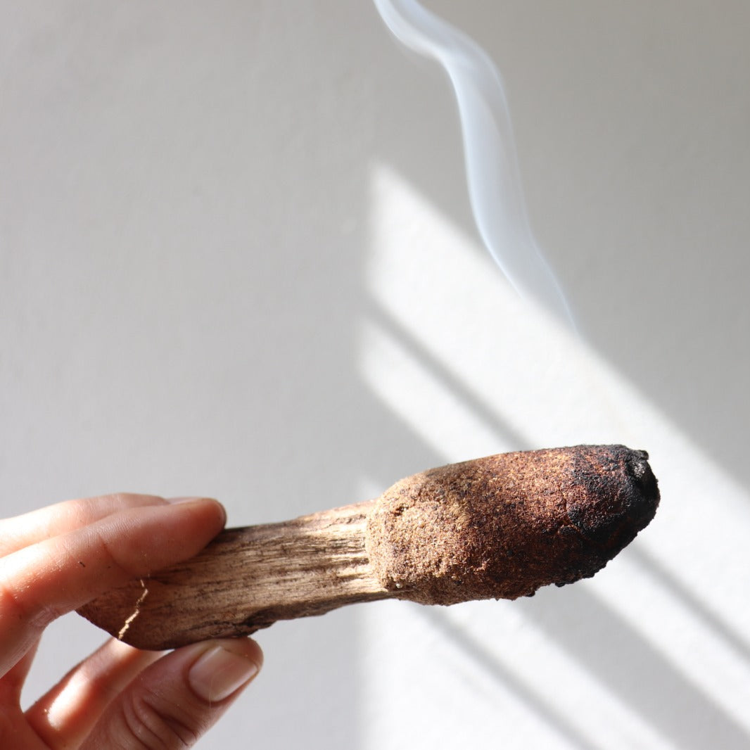 bástón de palo santo