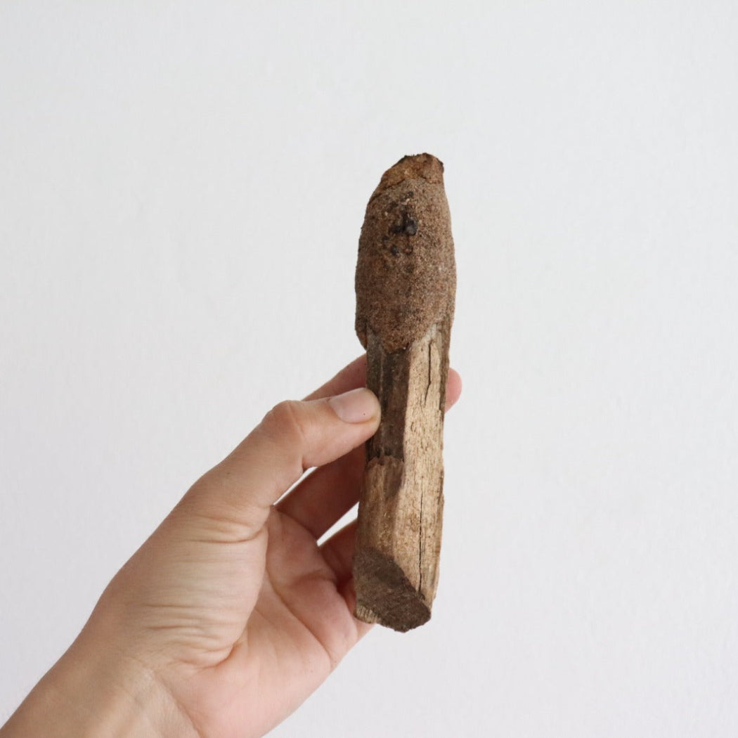 bastón de palo santo