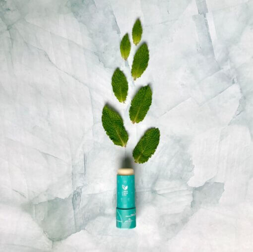 Bálsamo labial de Menta Hooli