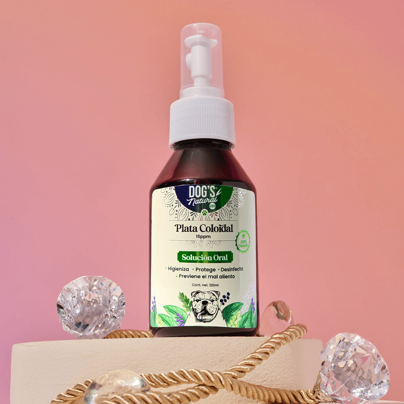 Nuevos productos en Verde Pluma