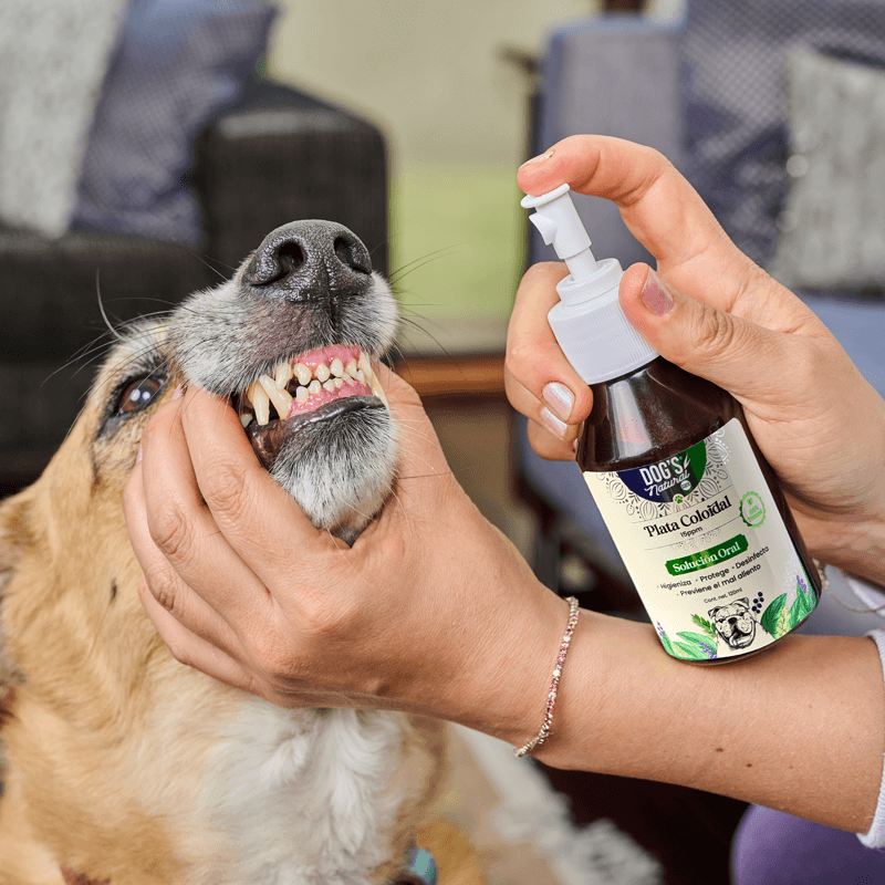 Plata Coloidal Solución Bucal en Spray para mascotas Natural Care